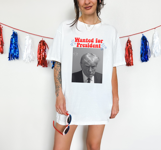 Wanted for president mugshot design